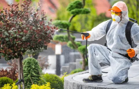 Seasonal pest control treatment in Dubai