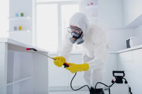 Residential pest control in a Dubai home