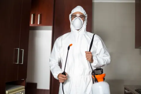dubai emergency pest control