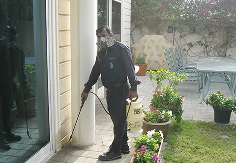 Southern Express pest control work in Dubai, photo 3