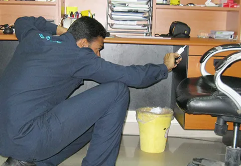 Southern Express pest control work in Dubai, photo 7