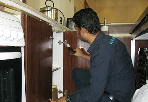 Southern Express pest control work in Dubai, photo 9