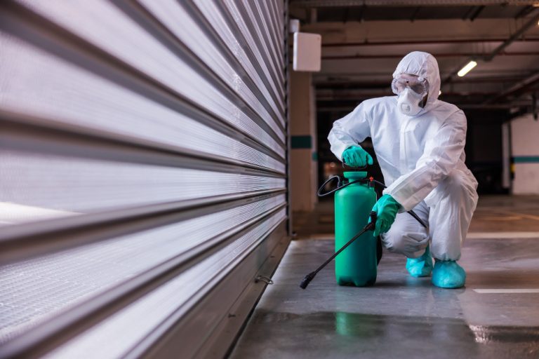 General pest control service in Dubai