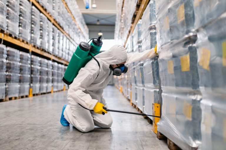 Commercial pest control in Dubai