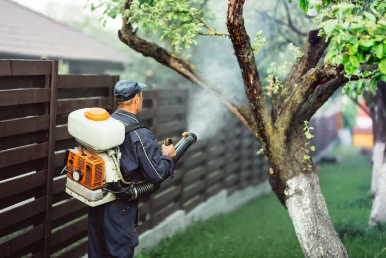 Eco friendly pest control in Dubai