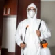 dubai emergency pest control