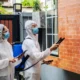 Best residential pest control dubai