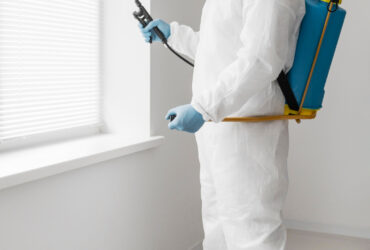Pest-Control-Dubai