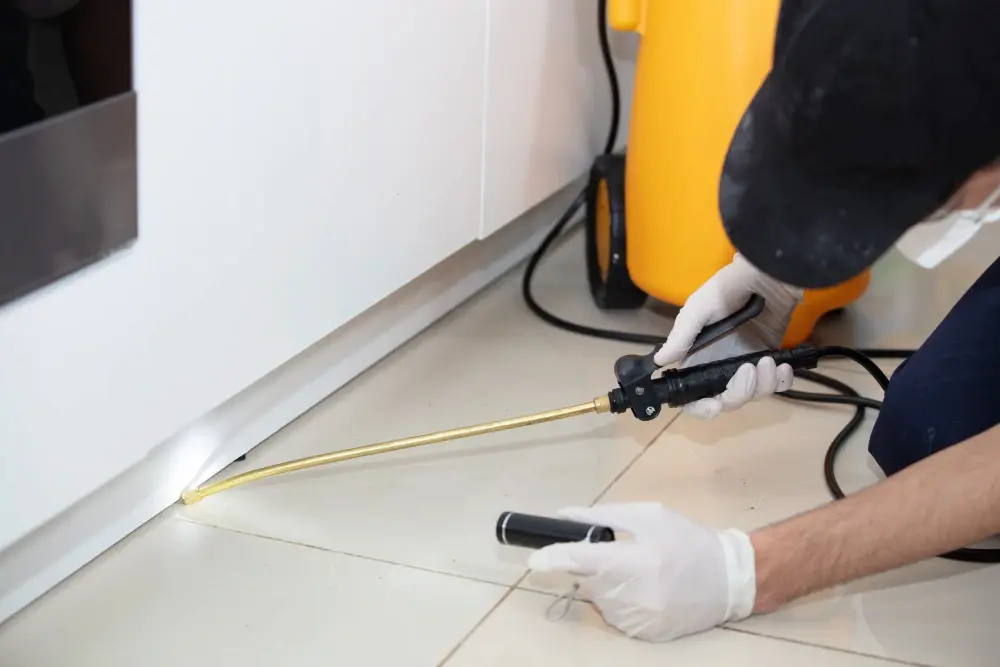Cockroach pest control in Dubai: technician spraying along kitchen cabinets